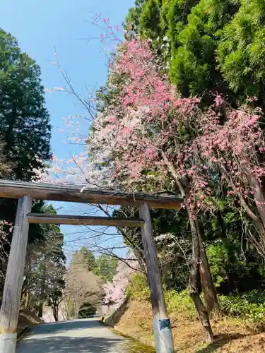 土津神社｜こどもと出世の神さまの鳥居