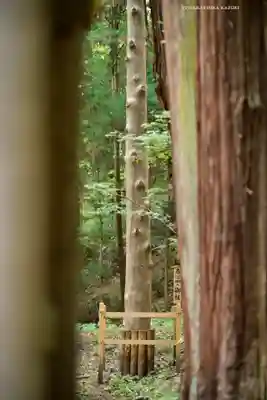 諏訪大社下社春宮(長野県)