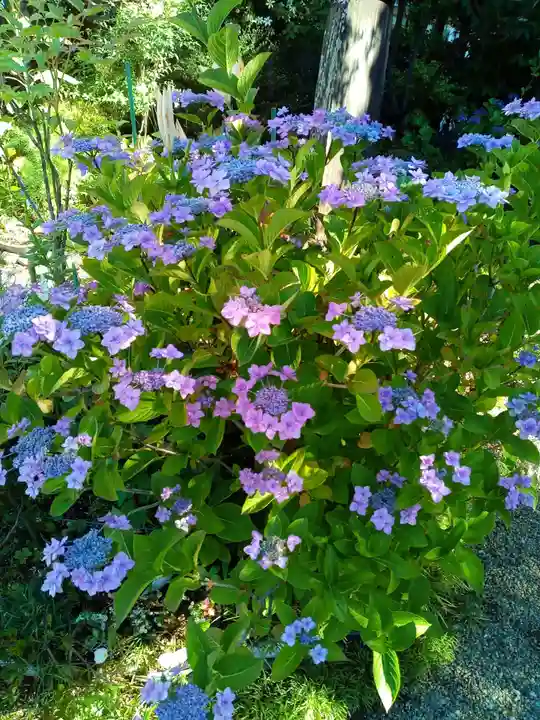 妙心院(宮城県)