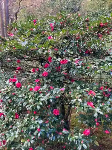 一條殿 新善光寺(京都府)
