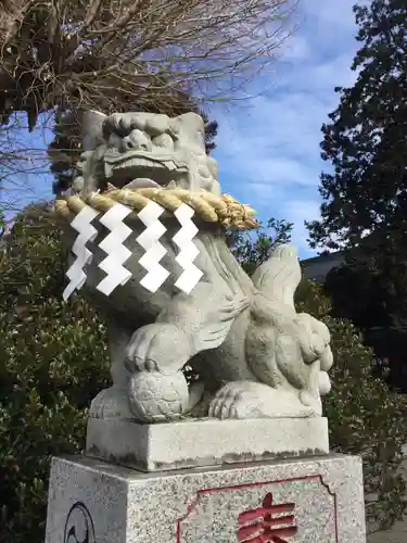 亀ケ池八幡宮の狛犬