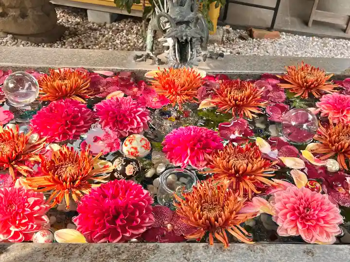 蛇窪神社の手水舎