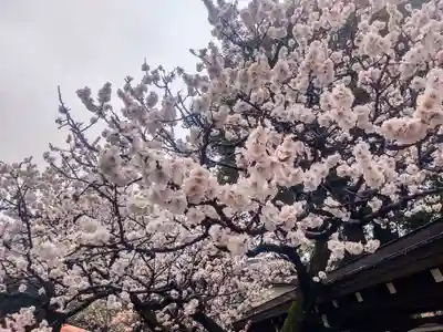 湯島天満宮(東京都)
