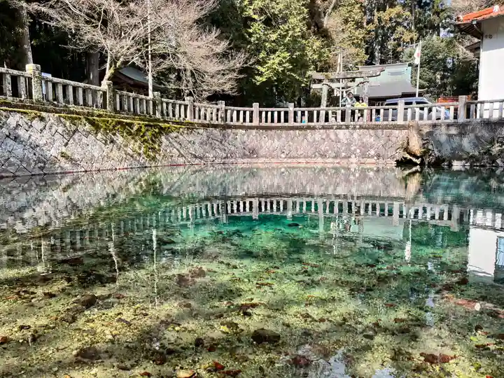 嚴島神社(山口県)