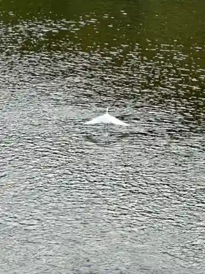 伊勢神宮内宮（皇大神宮）(三重県)