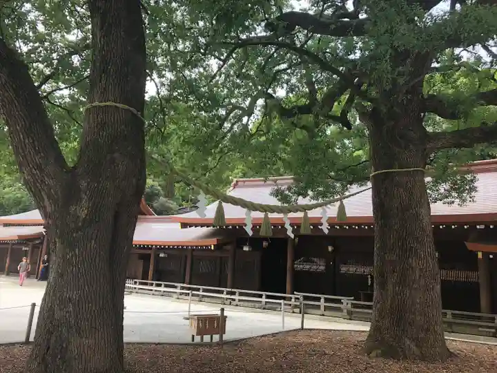 明治神宮(東京都)