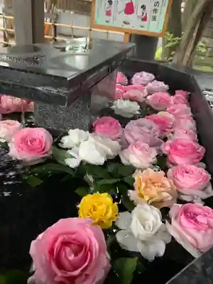 新琴似神社の手水舎