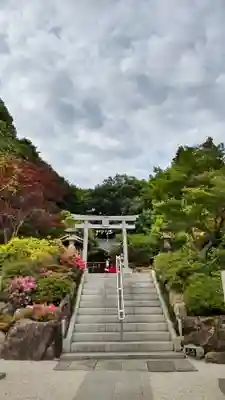 貫井神社の鳥居