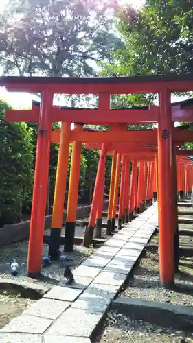 根津神社の鳥居
