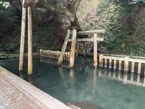 奥宮(鹿島神宮摂社)(茨城県)