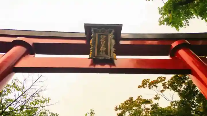 彌彦神社 (伊夜日子神社)の鳥居