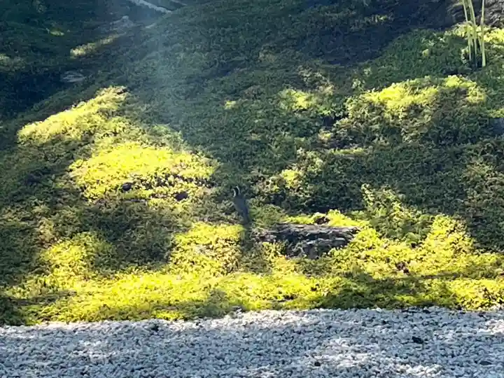 円通院(宮城県)