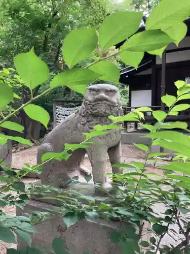 安居神社の狛犬