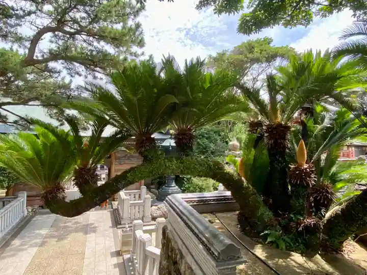 金剛福寺(高知県)