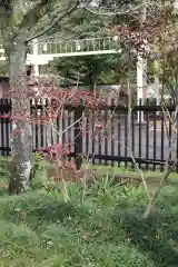 高麗神社の庭園