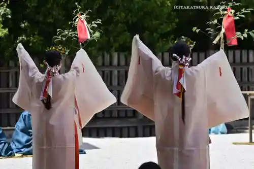 阿佐ヶ谷神明宮(東京都)