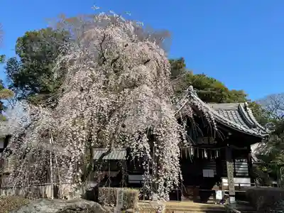 弘法寺(千葉県)