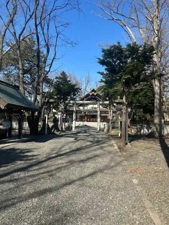 新琴似神社(北海道)