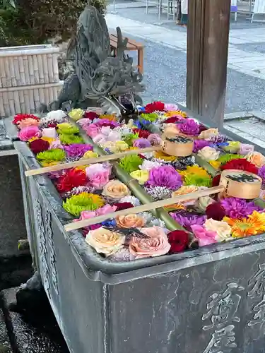 柳谷観音　楊谷寺(京都府)