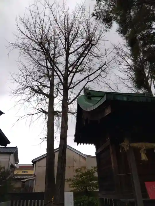 杉杜白髭神社(福井県)