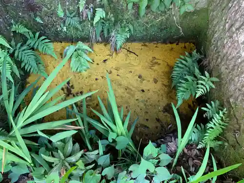 四宮神社の自然