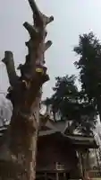 貴布禰神社(茨城県)
