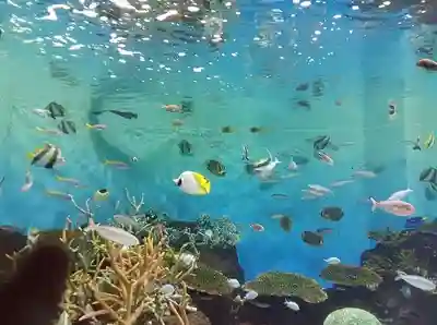 白狐山光星寺(山形県)