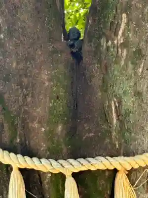 観音院(愛知県)