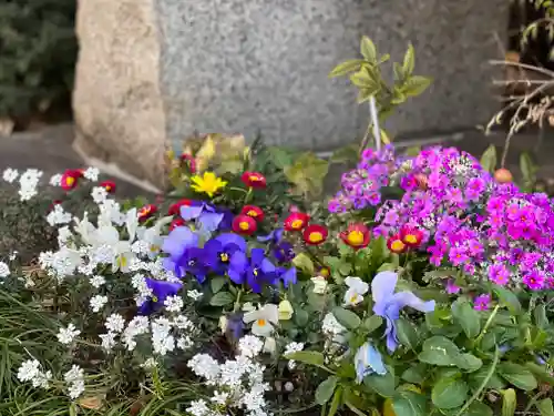 戸越八幡神社の庭園