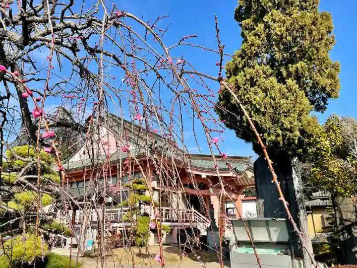 台林寺(栃木県)