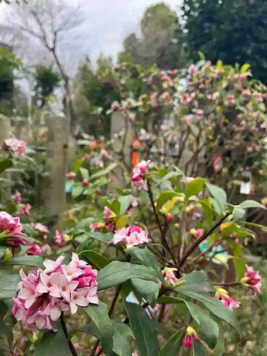 難波大社 生國魂神社(大阪府)