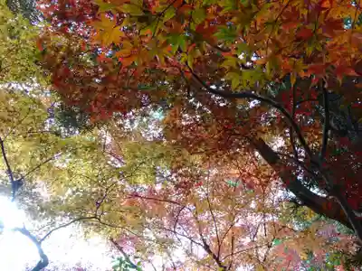 覚園寺(神奈川県)