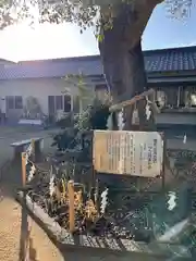 平石井神社(香川県)