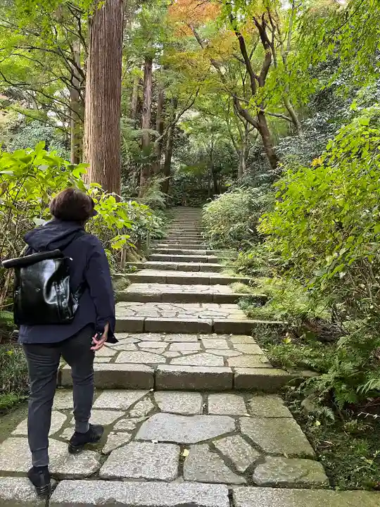 瑞泉寺(神奈川県)