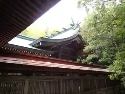 阿波神社の本殿・本堂
