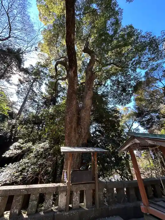 久能山東照宮(静岡県)