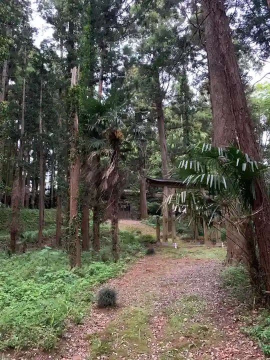 日吉神社(千葉県)
