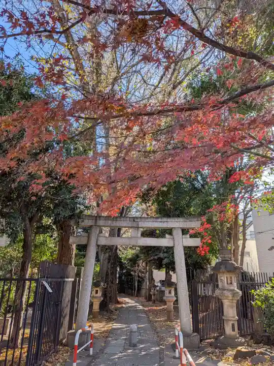 荻窪白山神社(東京都)