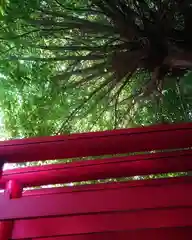 津島神社の自然