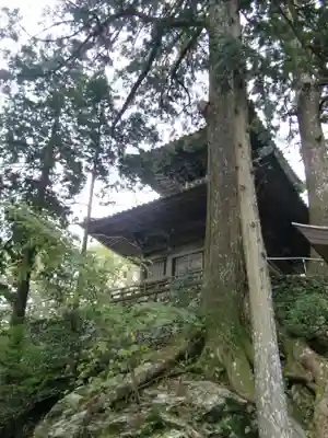 太龍寺(徳島県)