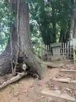 三峯神社(千葉県)