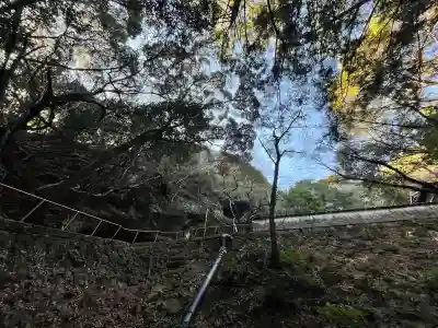 観音寺（岩屋観音）の{uncategorized: "未分類", other: "その他", undefined: "問題あり", building: "その他建物", grave: "お墓", sacred_gate: "鳥居", guardian: "狛犬", statue: "像", buddha: "仏像", history: "歴史", nature: "自然", garden: "庭園", animal: "動物", pagoda: "塔", temizu: "手水舎", mountain_gate: "山門・神門", sanctuary: "本殿・本堂", subordinate: "末社・摂社", art: "芸術", scenery: "景色", jizo: "地蔵", ema: "絵馬", goshuin: "御朱印", omikuji: "おみくじ", items: "授与品その他", amulet: "お守り", goshuincho: "御朱印帳", eats: "食事", festival: "お祭り", votive_dance: "神楽", shichigosan: "七五三参", wedding: "結婚式", experience: "体験その他", initially: "初詣", around: "周辺", anti_infection: "感染症対策"}