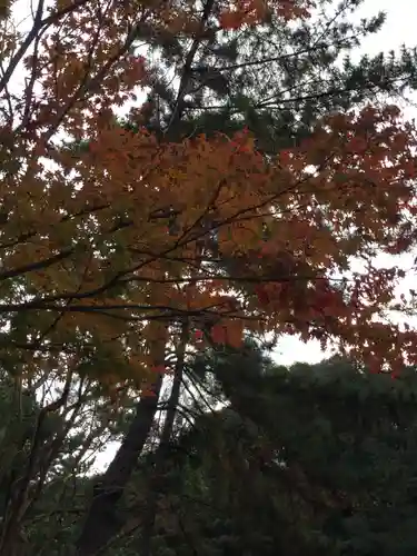 倭姫宮（皇大神宮別宮）の自然