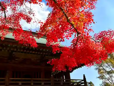 大山寺(徳島県)