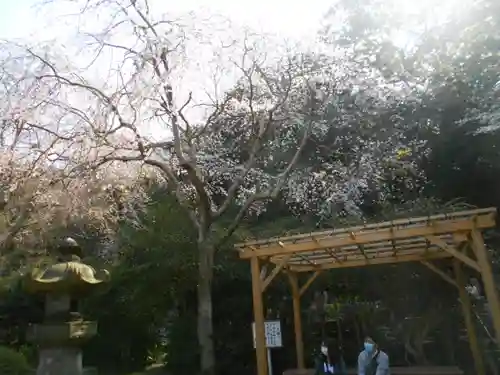 安國論寺（安国論寺）の景色