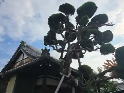 正光寺(大阪府)