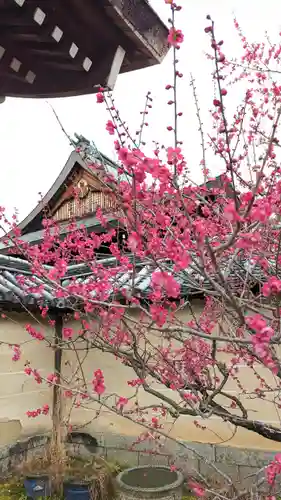 梅宮大社(京都府)