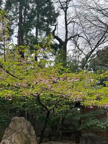 武蔵野八幡宮(東京都)