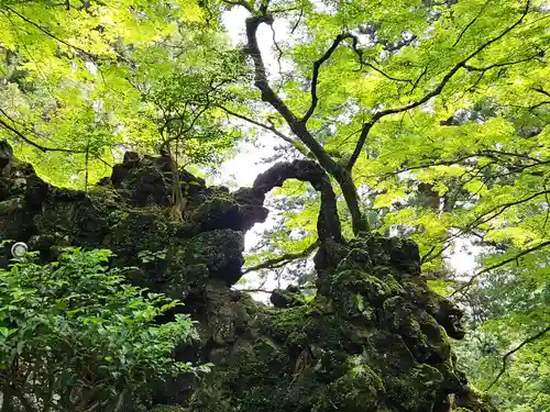 最乗寺（道了尊）(神奈川県)