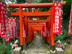 佐助稲荷神社の鳥居